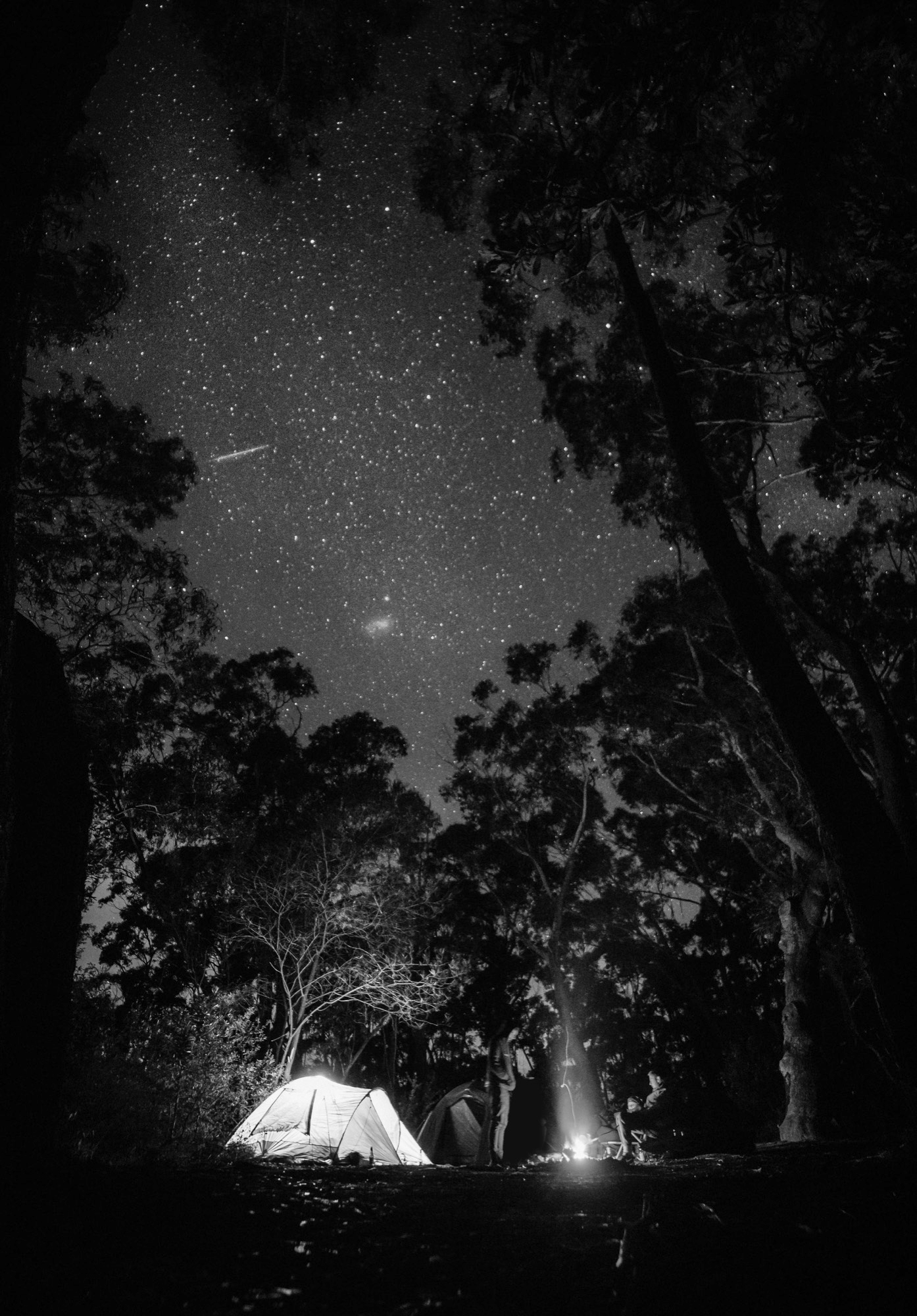 A tent and campfire under a night sky